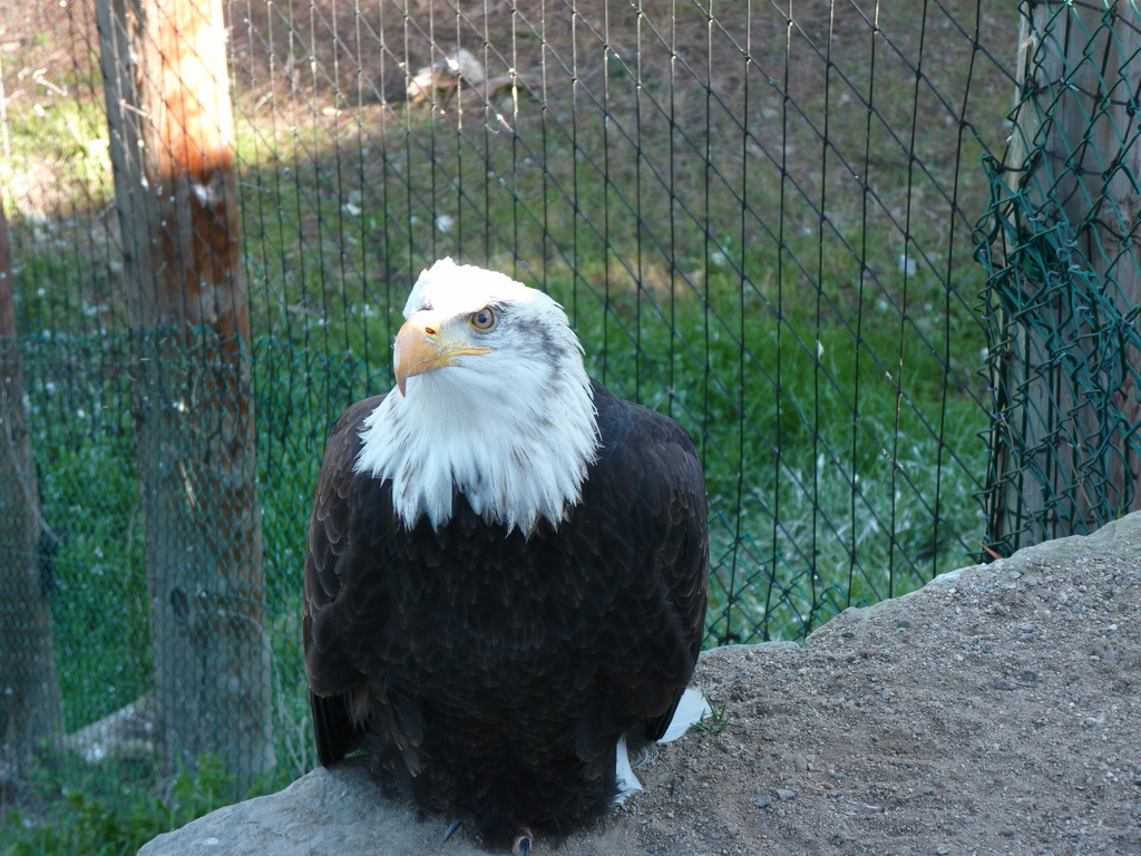 No s'ha trobat l'arxiu